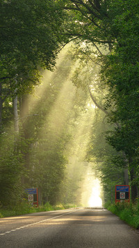 The shape of dindal effect light