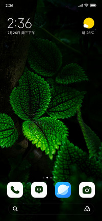 Emerald Leaf