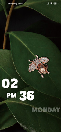 Insect