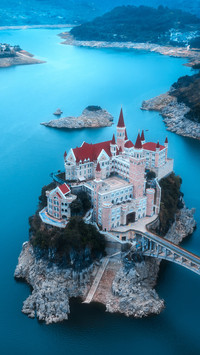 Swan Castle 91