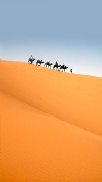 Pure Wind Desert