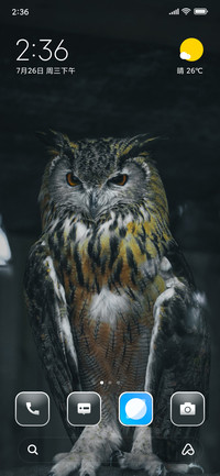 Owl Dark