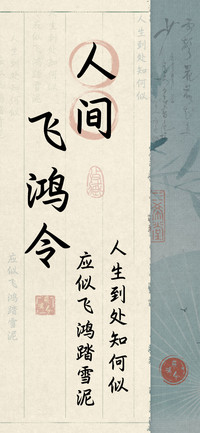 人间飞鸿令
