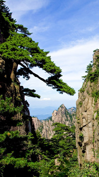 不识庐山真面目