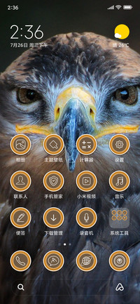 Kites Eye_3MDS