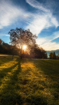 The backlight shines on the lawn