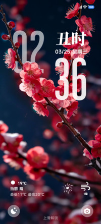 3D壁纸 暗香袭来