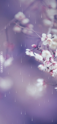 花样