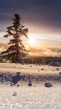 Winter