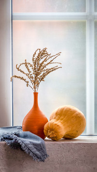 Still life of pumpkin and dry branch in vase on windowsill