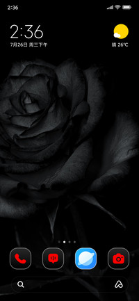 Faded Rose