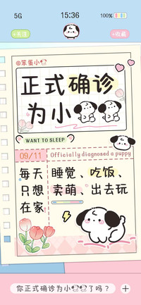 正式确诊为小狗狗