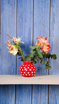 Flowers suitable for beginners 41