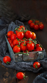Fresh fruits-01