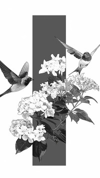 雁去鸟归来-顶晟科技