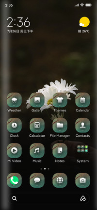 Phool