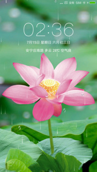 动态荷塘