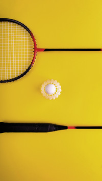 Skills for improving badminton skills