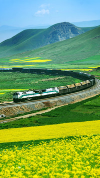 Yellow Grass Village section of the Qinghai-Tibet Railway
