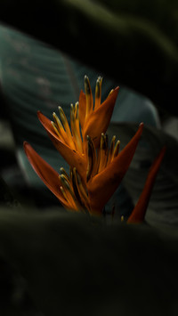 133931_1440x2560.jpg