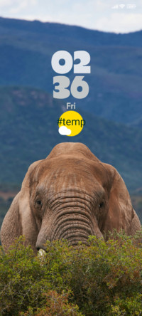 Elephant