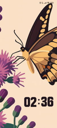 Butterfly