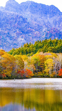 112493_1440x2560.jpg