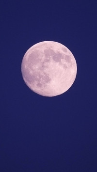 Moon Wallpaper