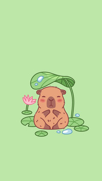 水豚界的社交达人