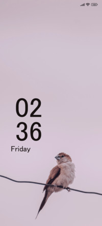 Bird Perched