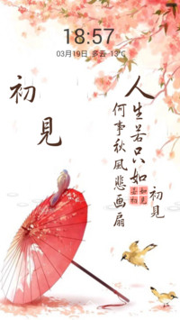 （精装版）若如初见（好评抽送收费主题）
