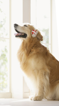 Cute golden hair 37