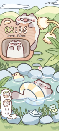 团团猫游泳记