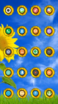  IN Sun flower