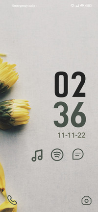 Yellow Flower