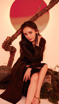 外国人喜爱的中国女星