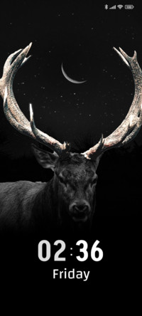 Deer