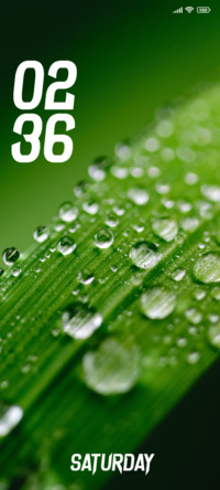 Raindrops