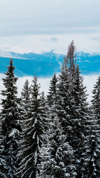 Winter scenery-06