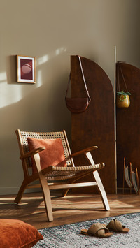Living Room with Design Rattan Armchair and Funiture
