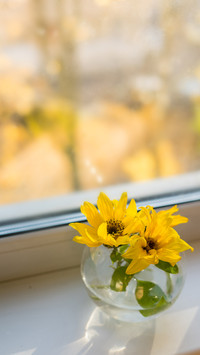 Spring flower arrangement