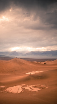Desert