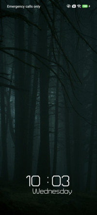 Misty Hollow