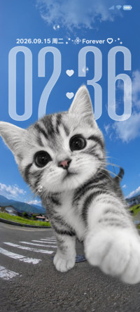 简约3D 萌猫来袭