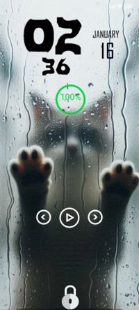 Rain cat
