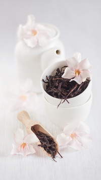 禅茶一味的境界