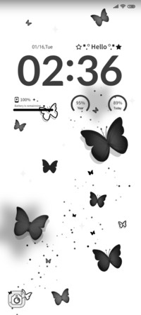 Two tone butterfly