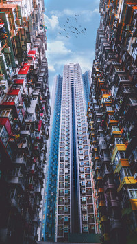 Pearl of the East Hong Kong 8