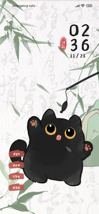 Chinese Black Cat