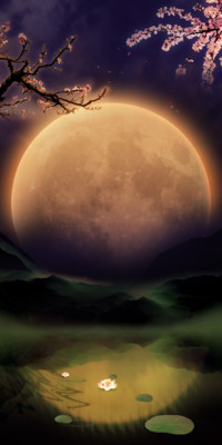 Moon night